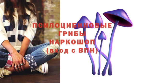 эйфоретик Бородино
