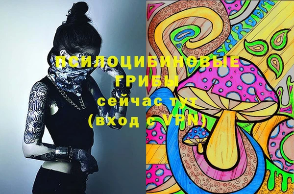крисы Бронницы