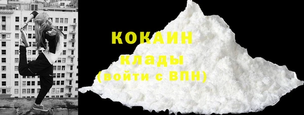 крисы Бронницы