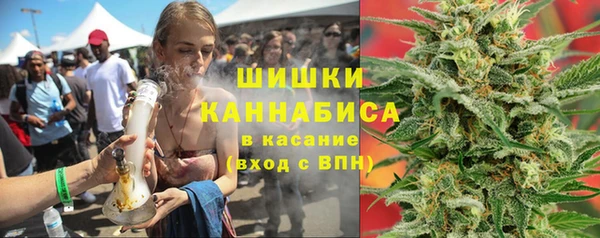 крисы Бронницы