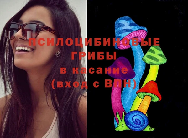 эйфоретик Бородино