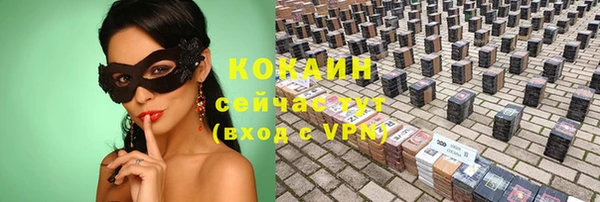 крисы Бронницы